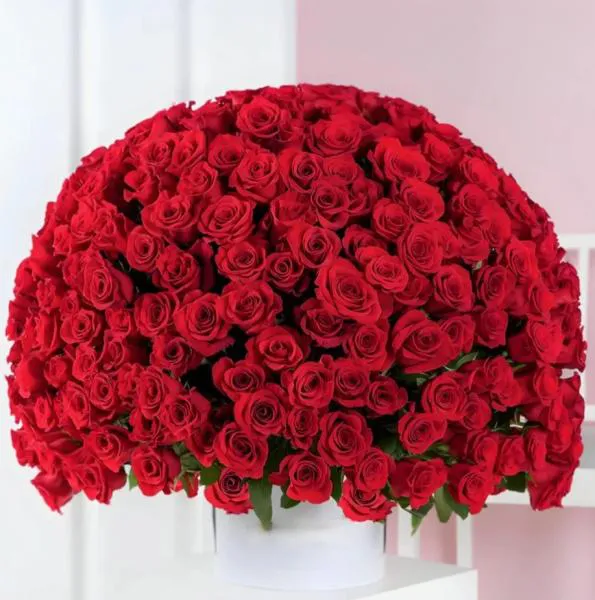Букет из 301 красной розы