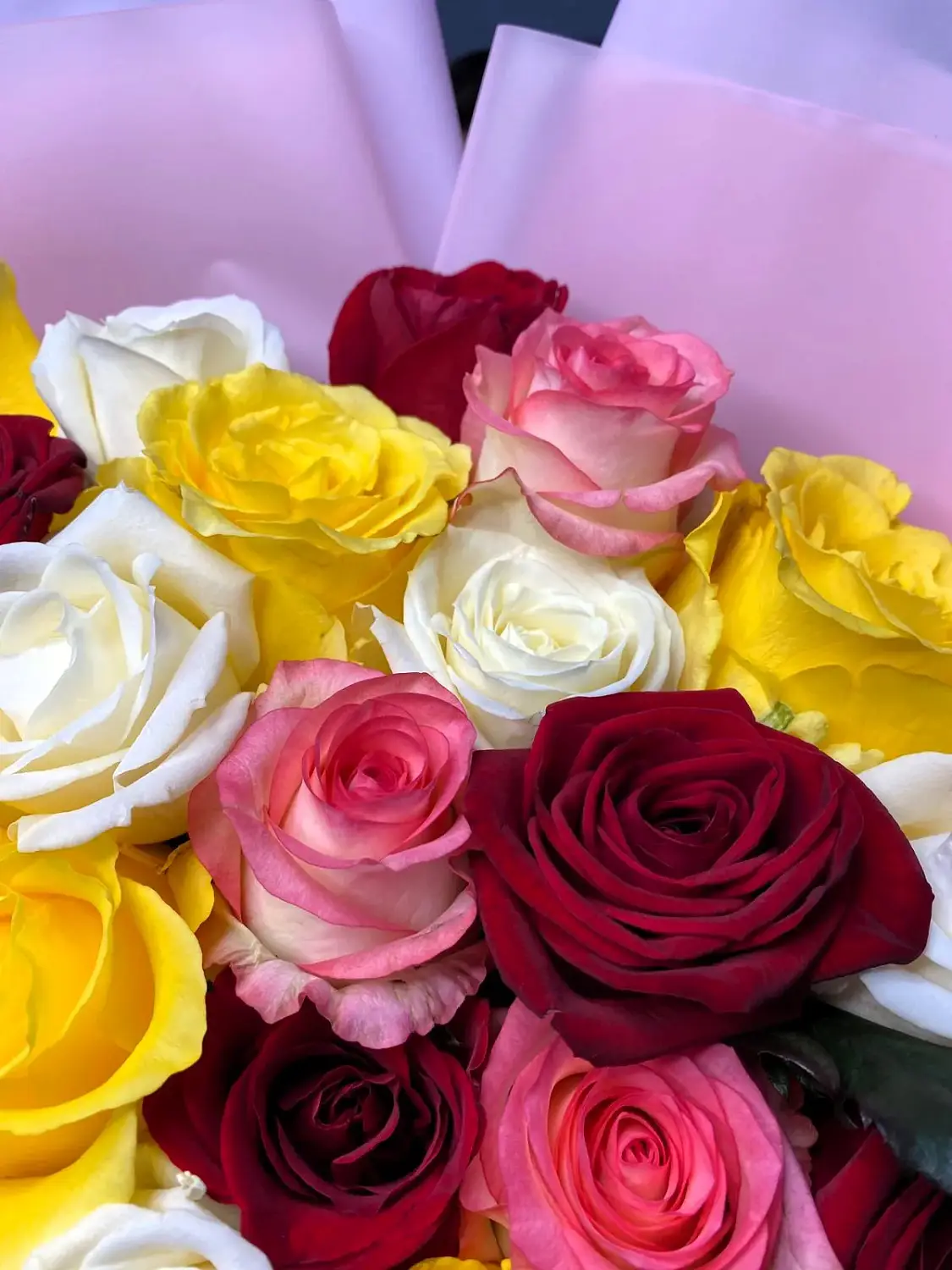 Букет из 31 разноцветной розы