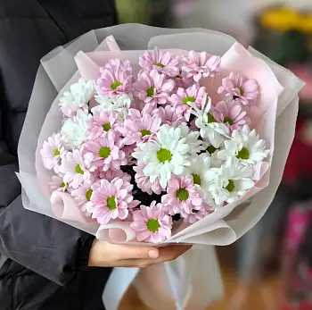 Искренняя симпатия