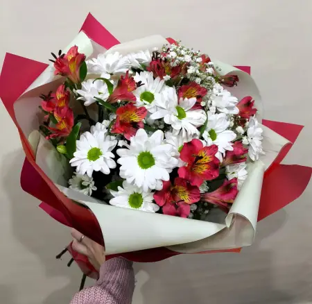 Серенада любви