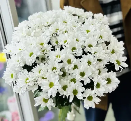 Букет из 15 веток хризантем под ленту